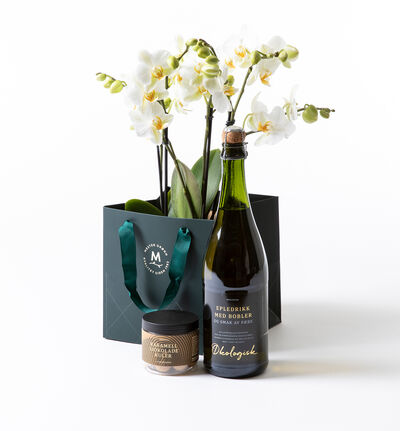 Hvit orkide Bouquetto i gavepose Hvit orkide Bouquetto i gavepose